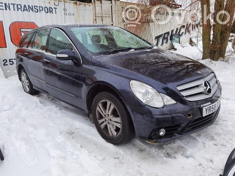 R W251 R-class, AMG (W251)  P0843393