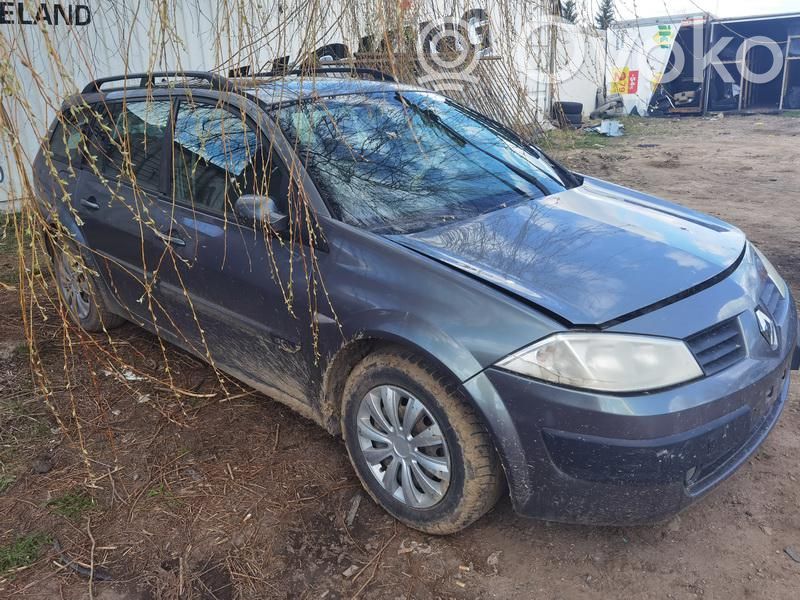 Megane II Megane  1020005