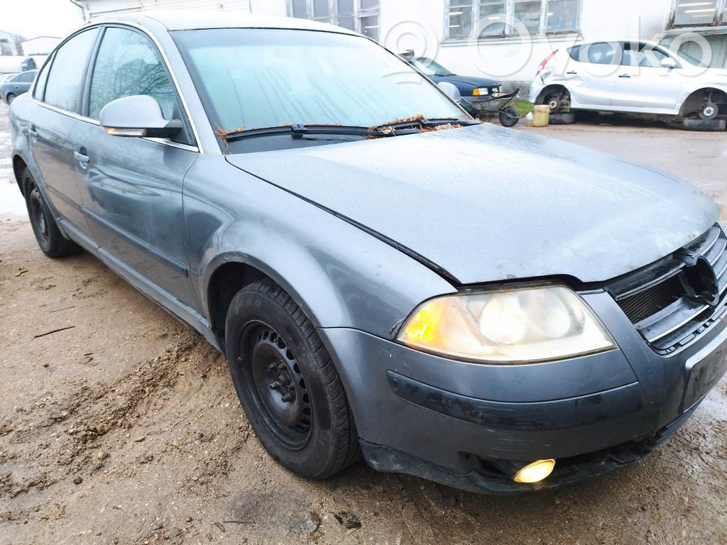 PASSAT B5.5 Passat
