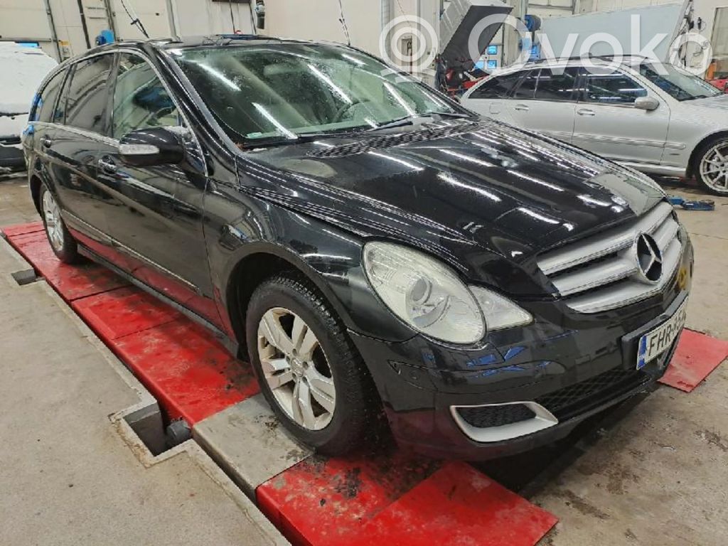 R W251 R-class, AMG (W251)  LA1231085