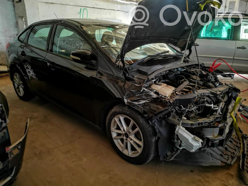 Focus Focus  CM5T19H464CD