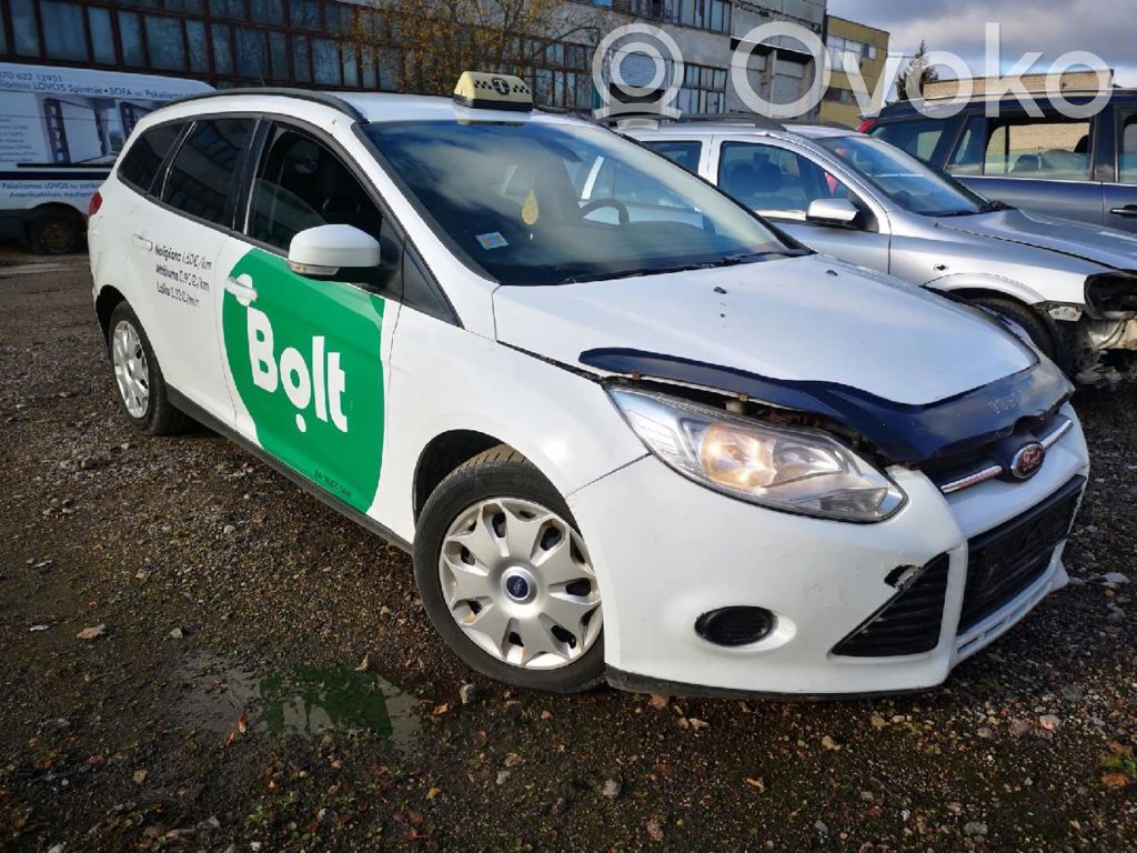 Focus Focus  STX200194