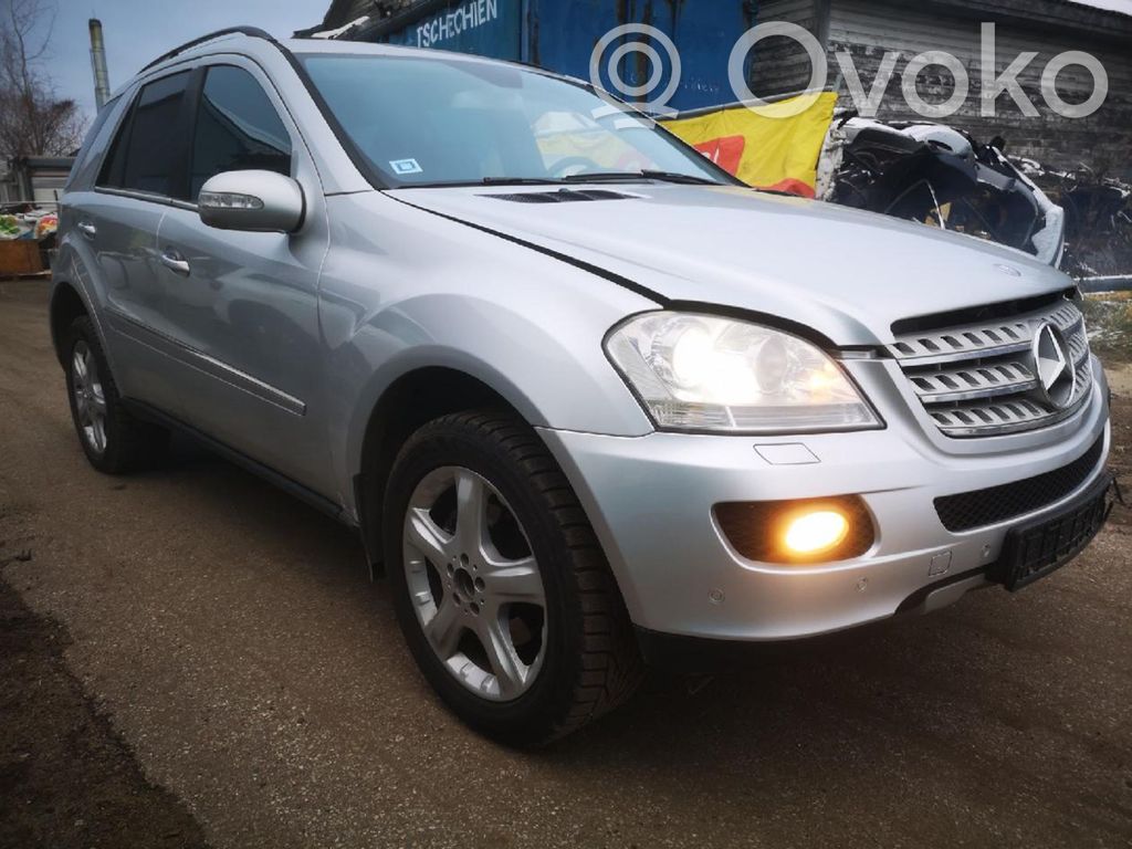 ML W164 ML-class, AMG (W163, W164, W166)  1005821901