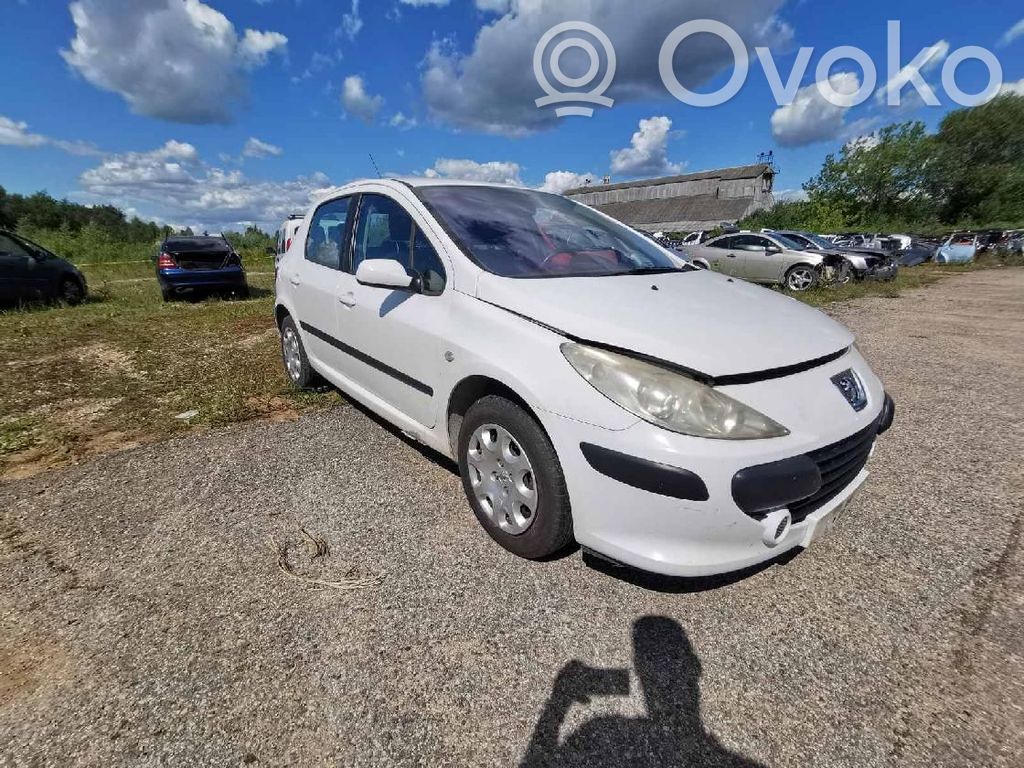 307 307  E2040060