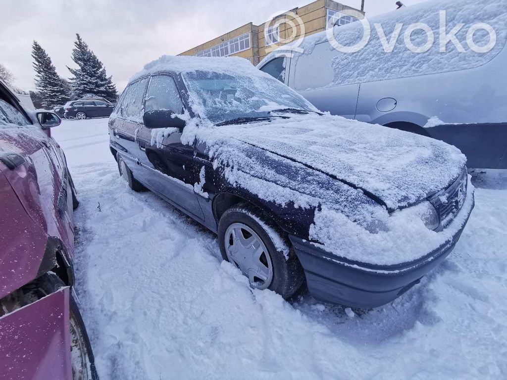 Astra F Astra  VIOLETINES