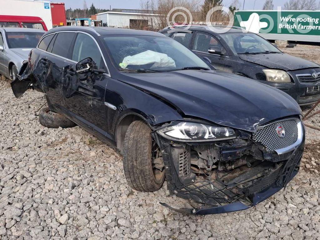 XF XF  28339197