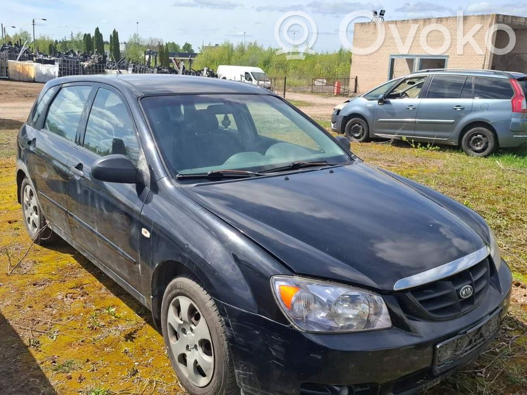 Cerato Cerato