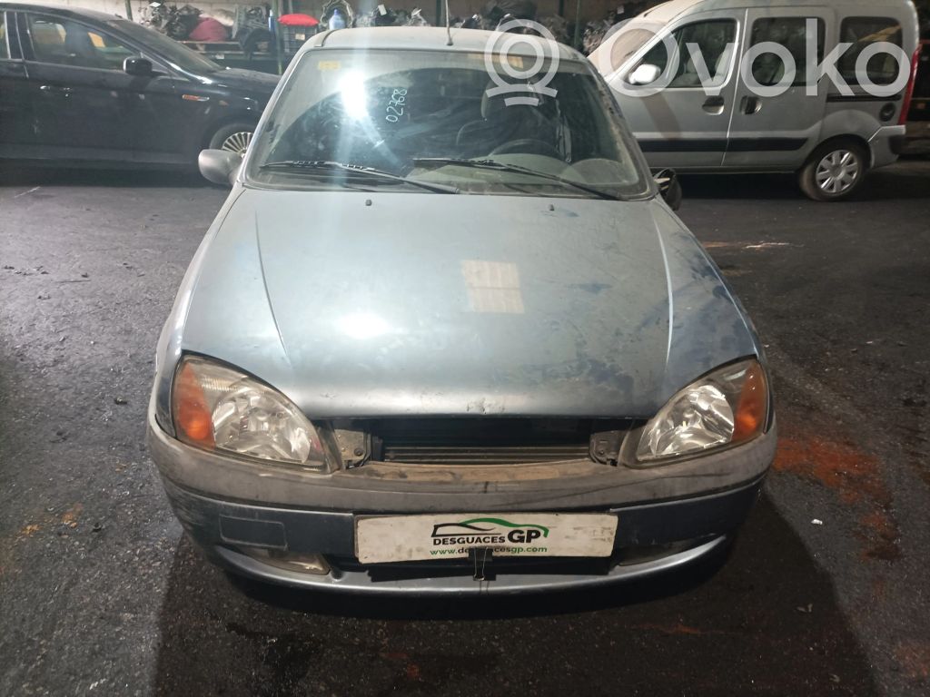 Fiesta Fiesta  98BFBB