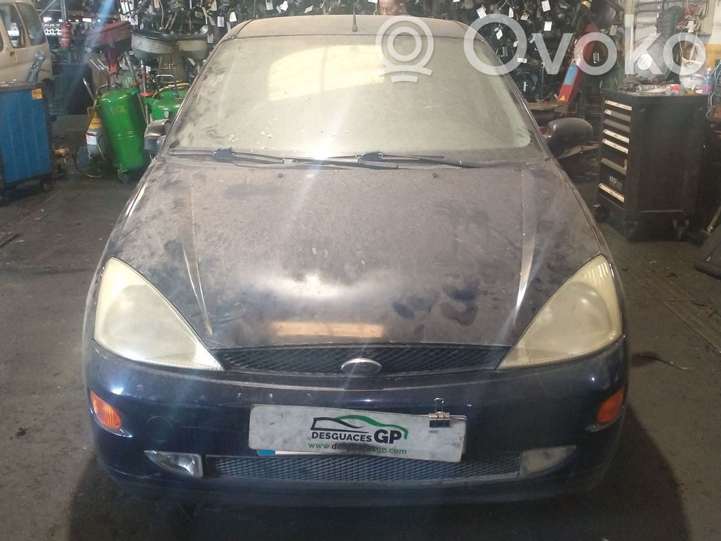 Focus Focus  7003178