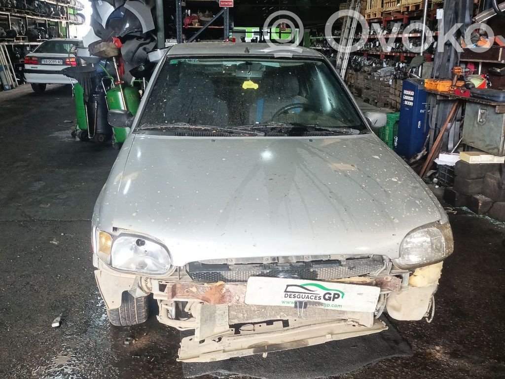 Escort Escort  1406071
