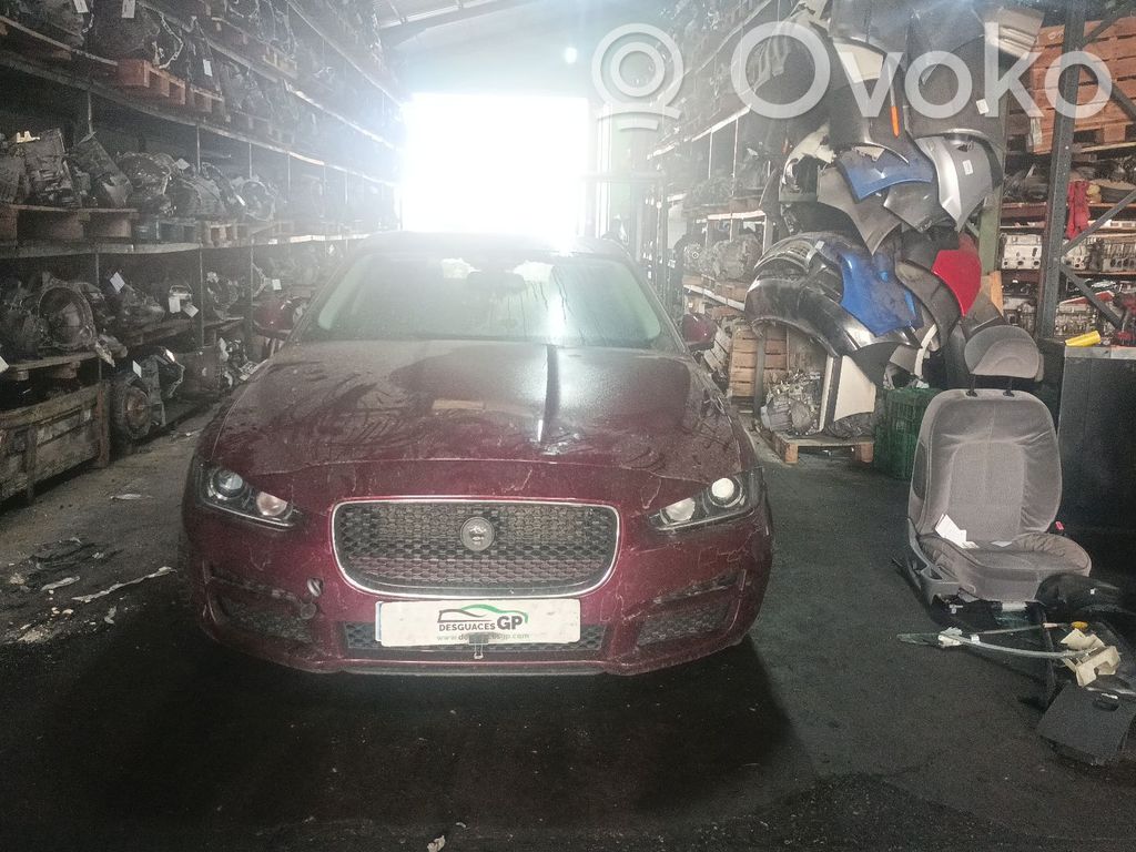 XE XE  T4A2650