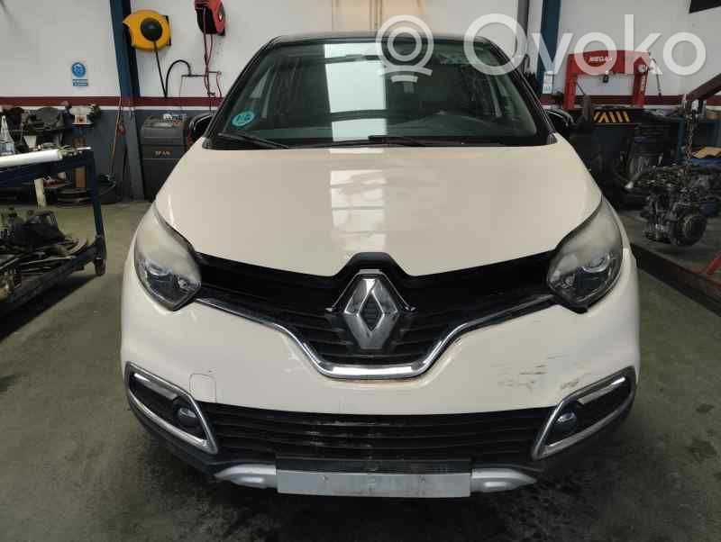 Captur Captur  490013552RA