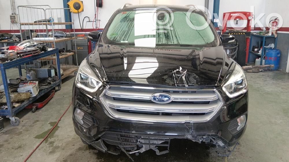 Kuga II Kuga