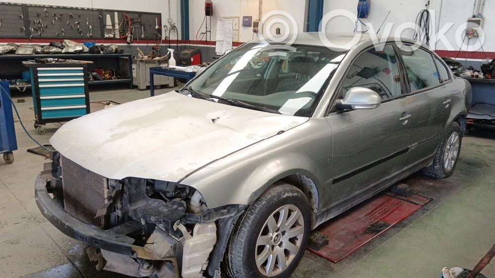 PASSAT B5.5 Passat