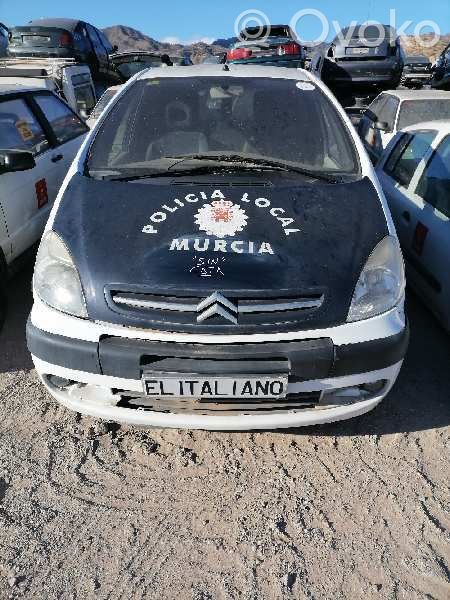 Xsara Xsara, Xsara Picasso