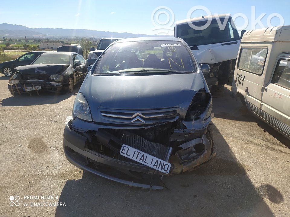 Xsara Xsara, Xsara Picasso