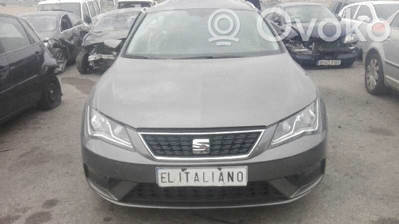 Leon (5F) Leon