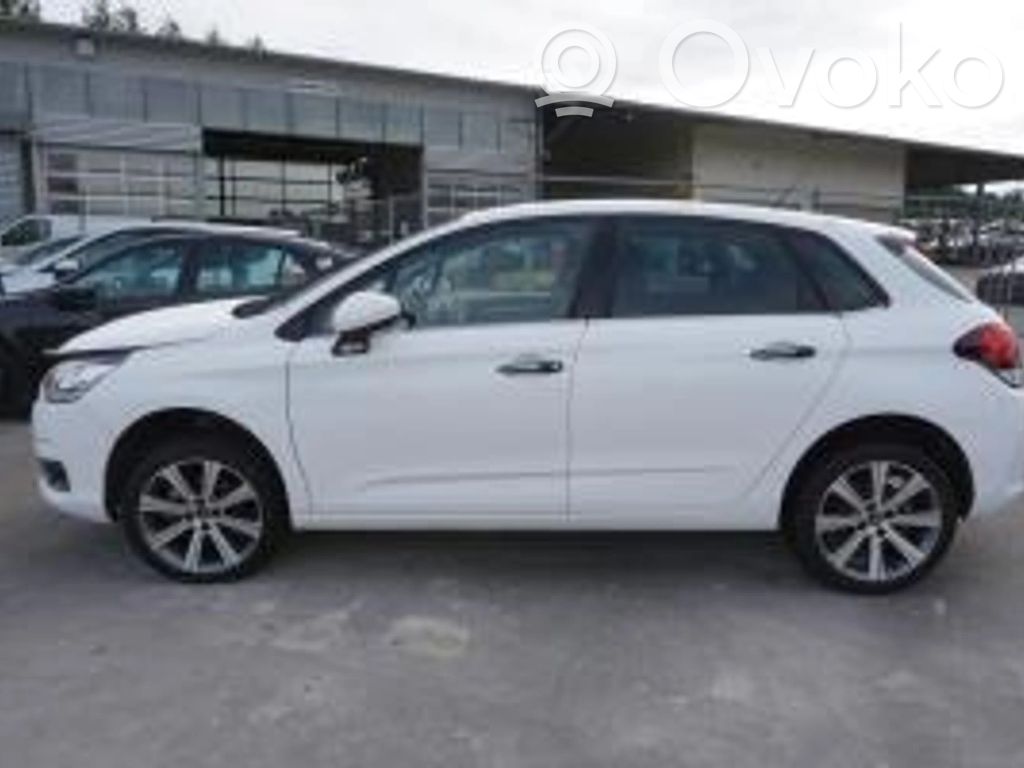 C4 II C4 Picasso, Grand Picasso, Aircross, Cactus  96754516ZD