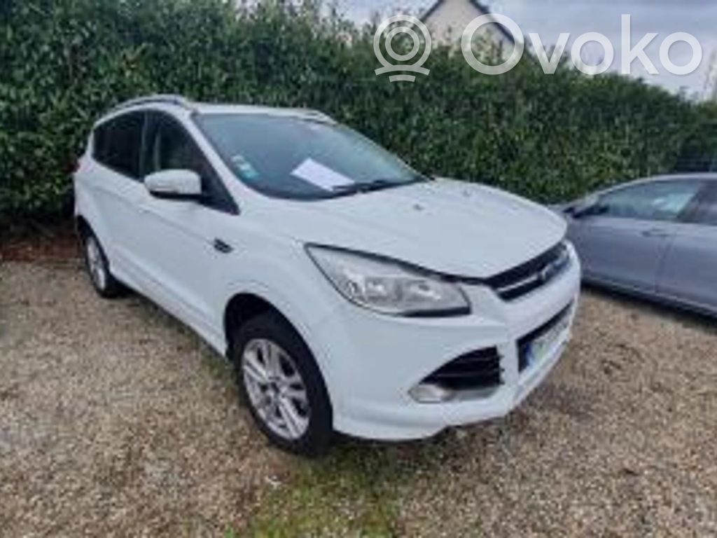 Kuga II Kuga  1870892
