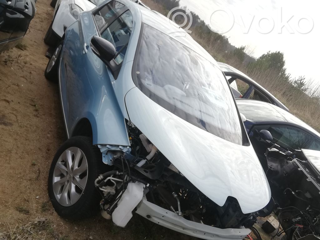 Zoe Zoe  237D40076R