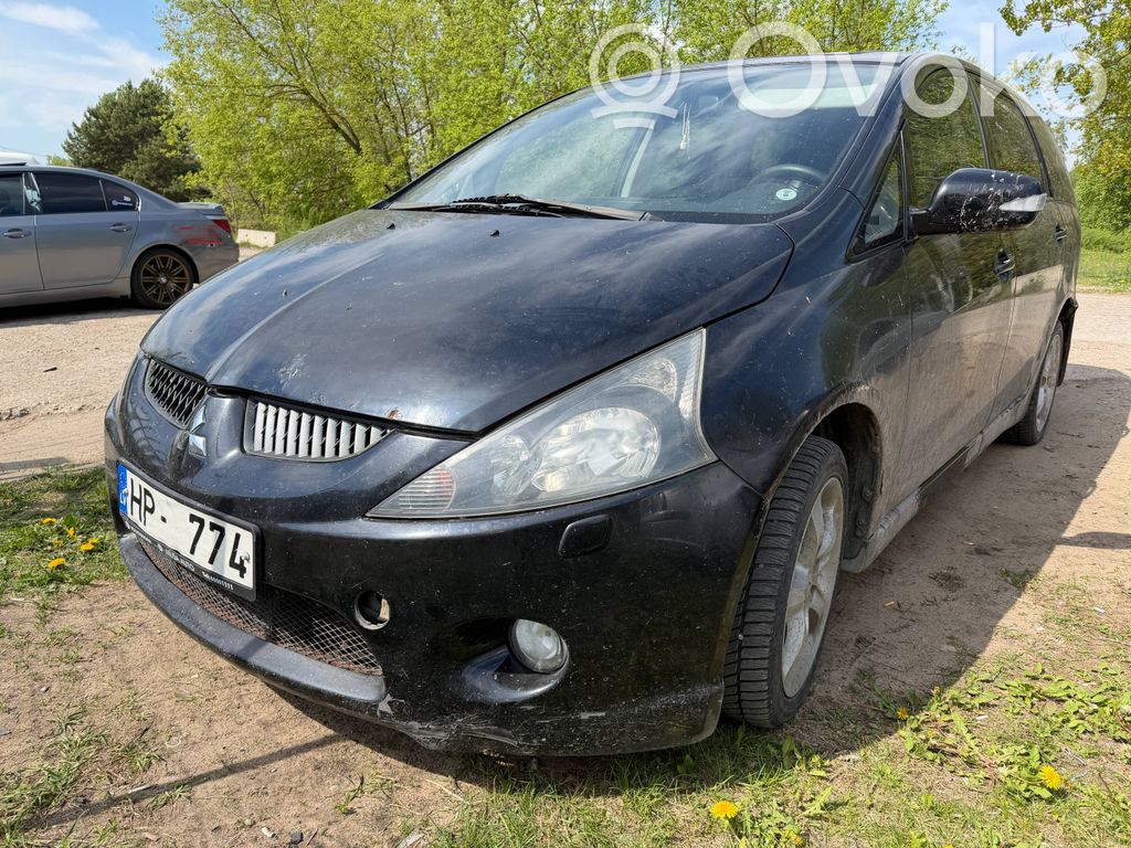 Grandis Grandis  MR957660