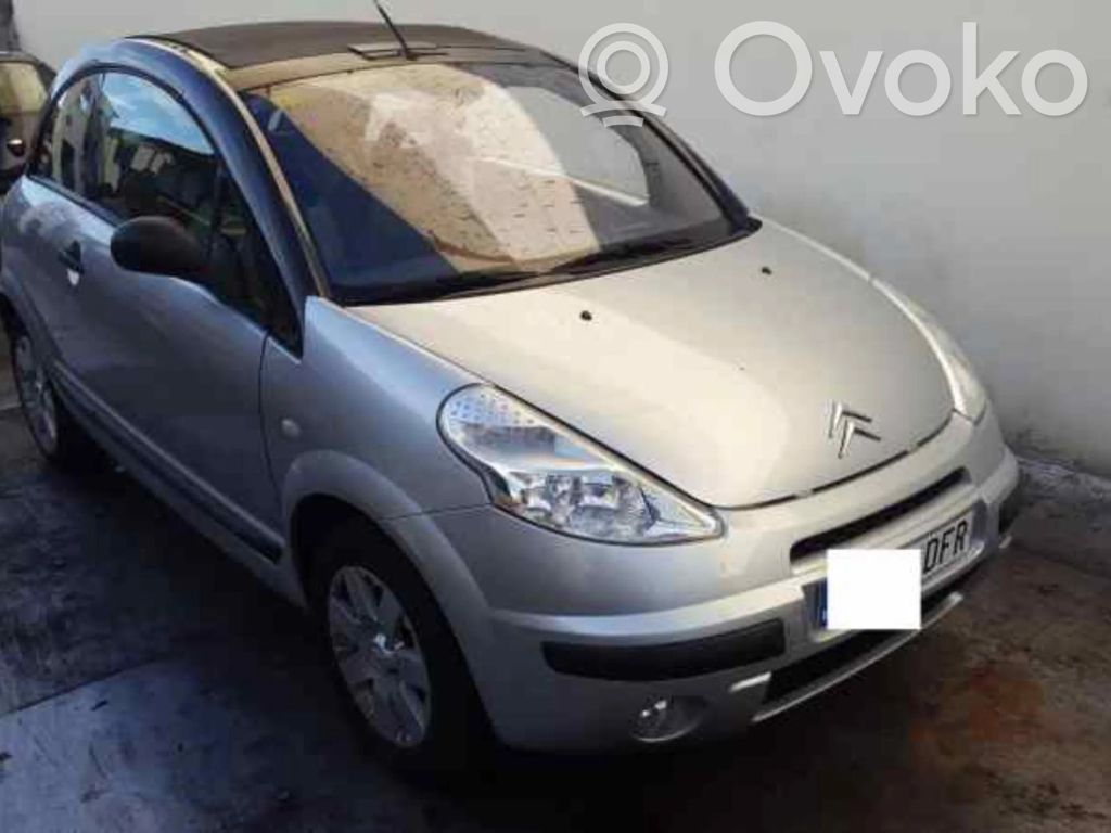 C3 C3, Pluriel, Picasso  9649029080