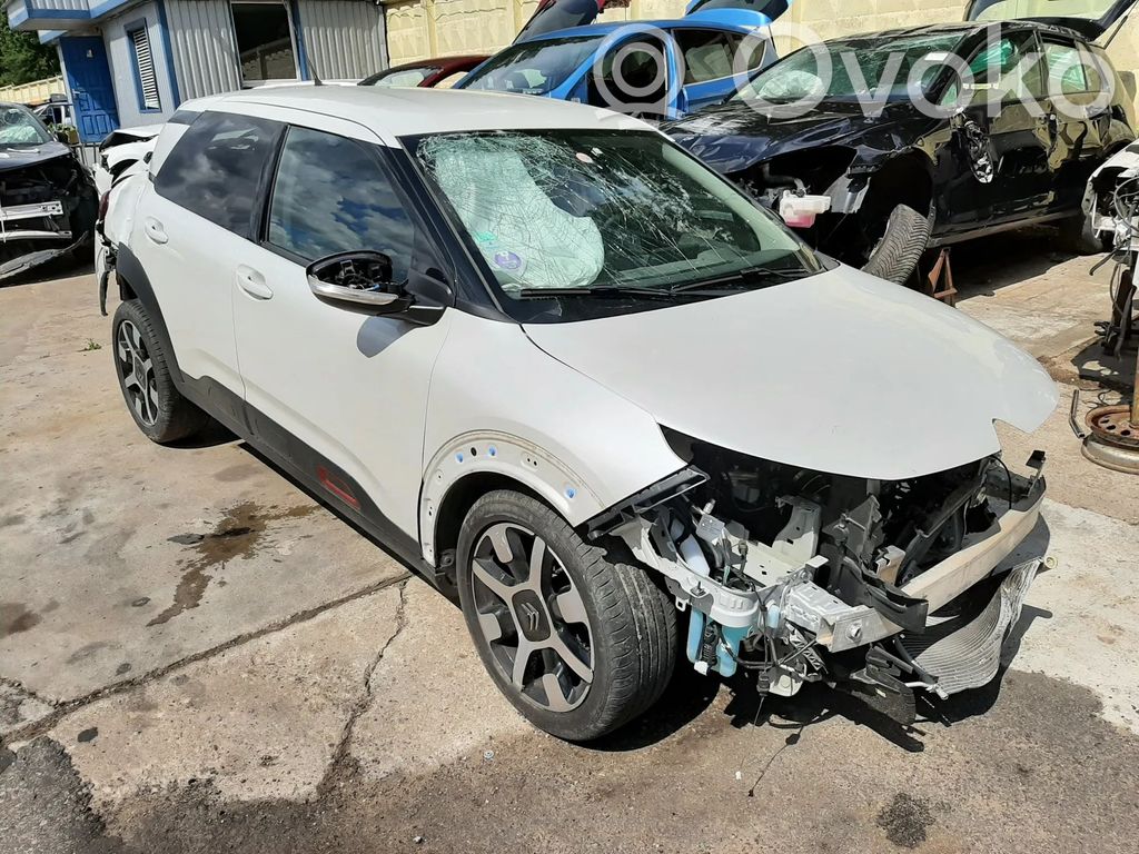 C4 Cactus C4 Picasso, Grand Picasso, Aircross, Cactus  9801004180