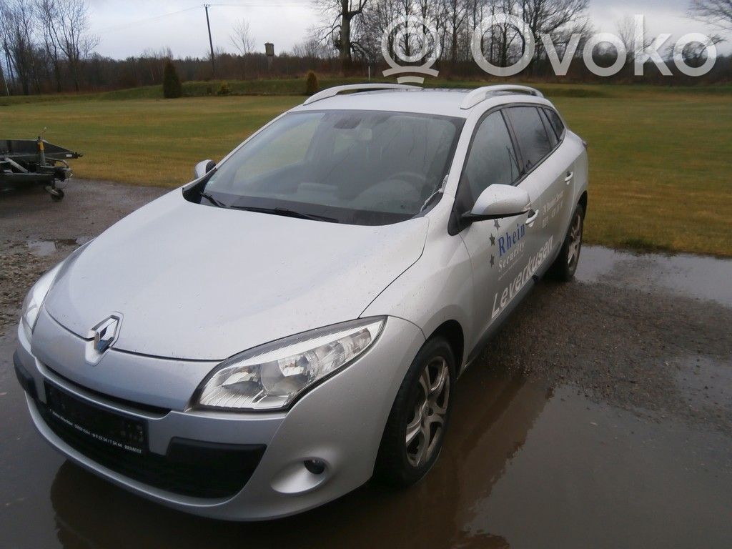 Megane III Megane  255520013R