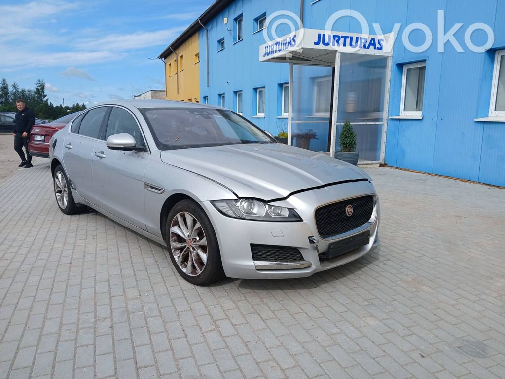 XF X260 XF  940808