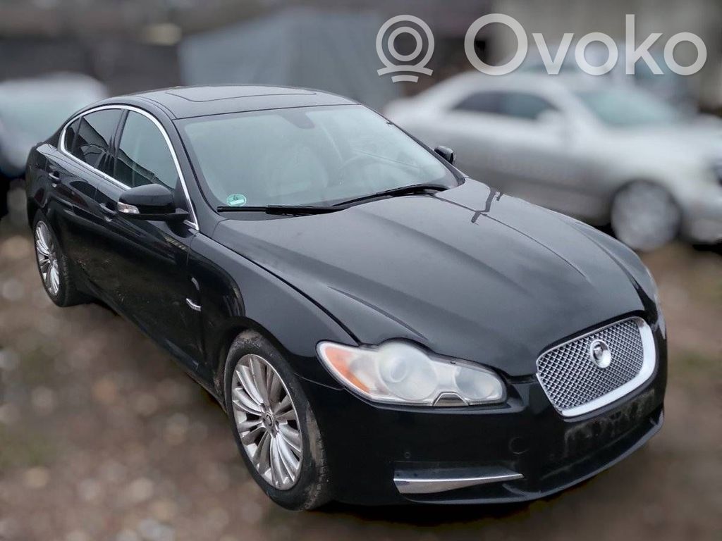 XF X250 XF  33048305
