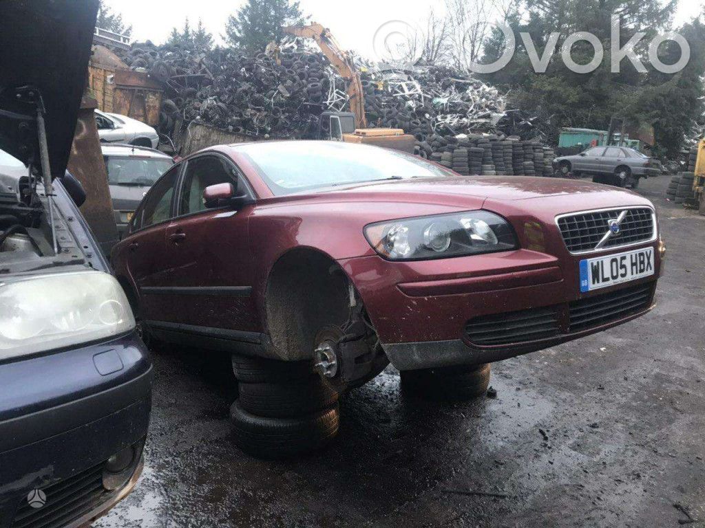 V50 V50  8658493
