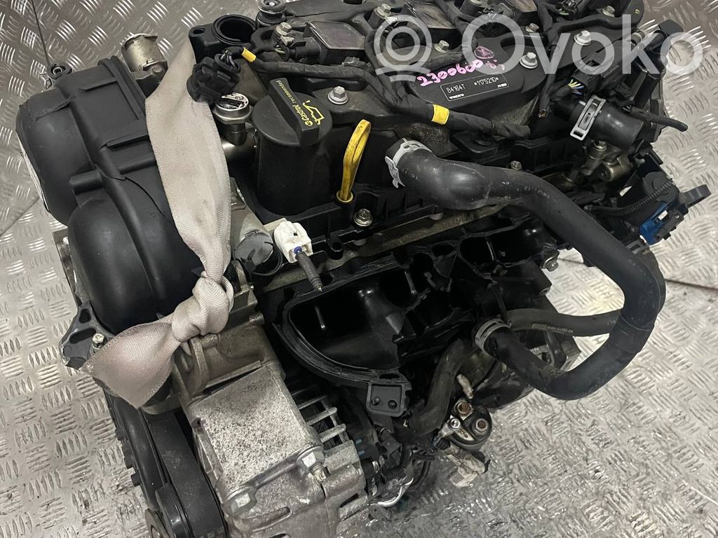 V60 V60, V60 Cross Country  B4164T