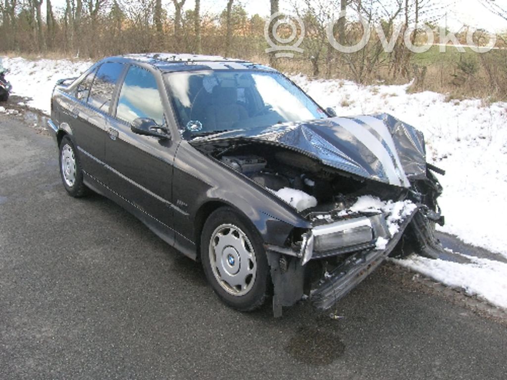 3 E36 Series 3  00049049