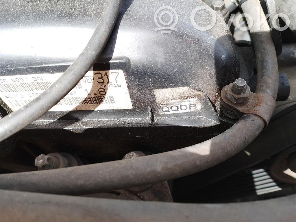 Focus Focus  5M513200EE