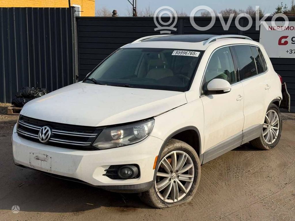Tiguan Tiguan  06J906262