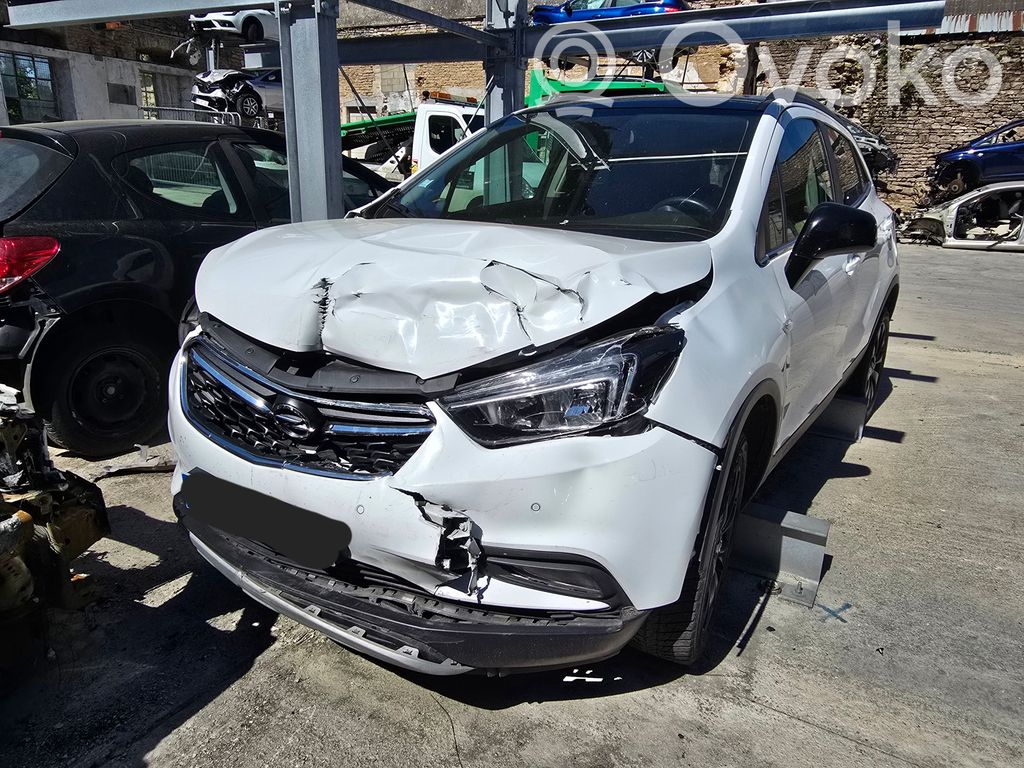 Mokka Mokka  42735863