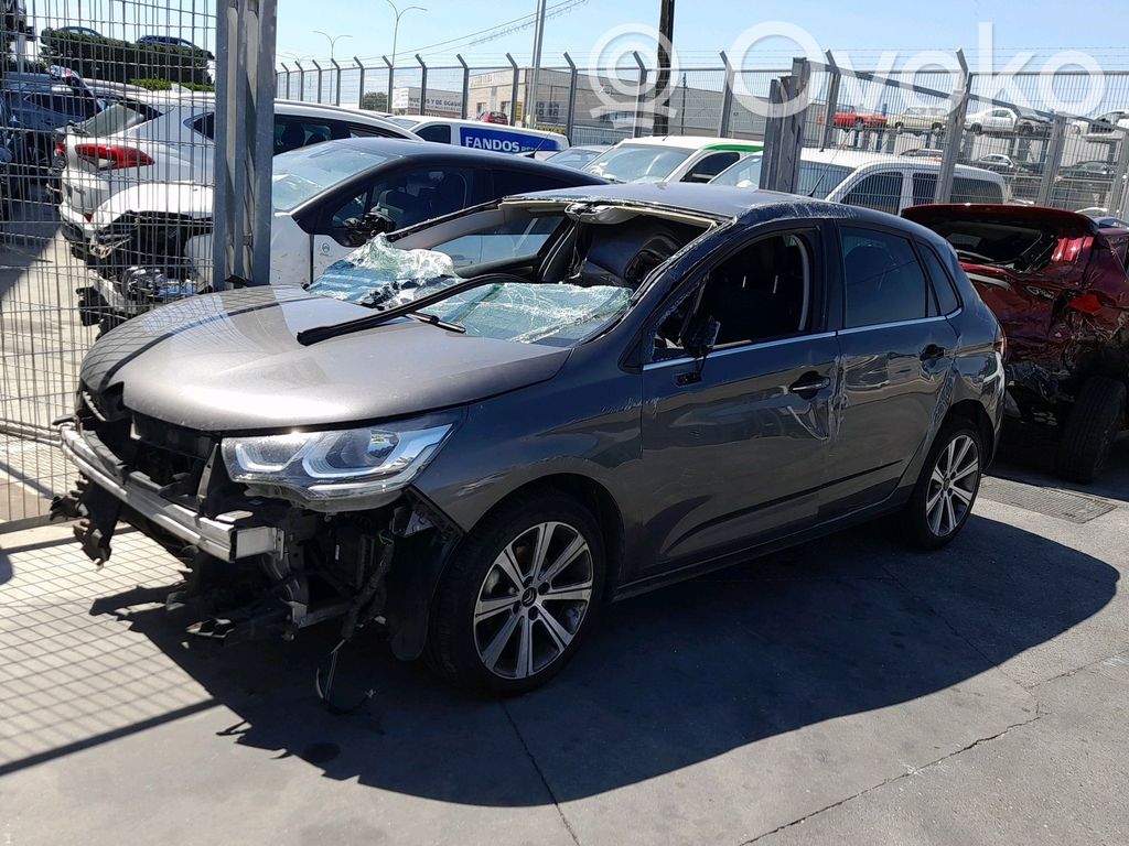 C4 Cactus C4 Picasso, Grand Picasso, Aircross, Cactus  8701FQ