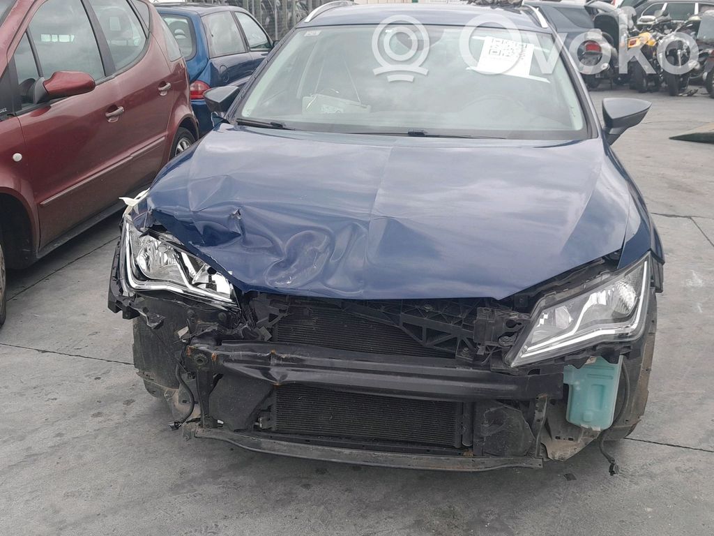 Leon (5F) Leon  5F9807421H