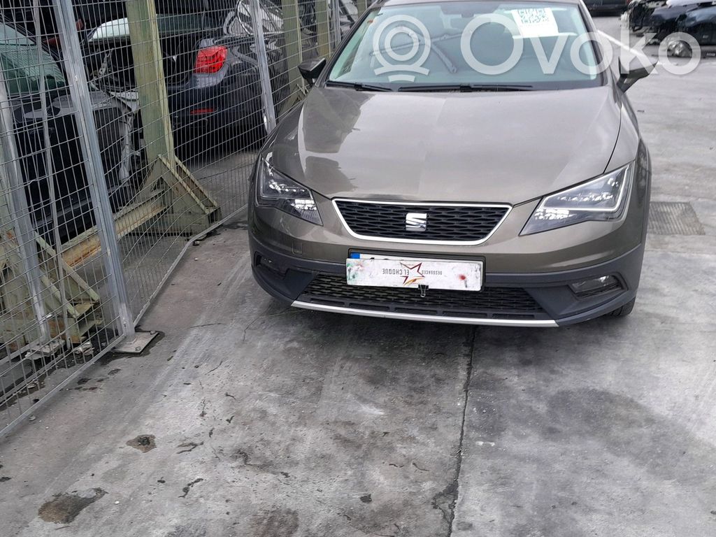 Leon (5F) Leon  5F1941008D