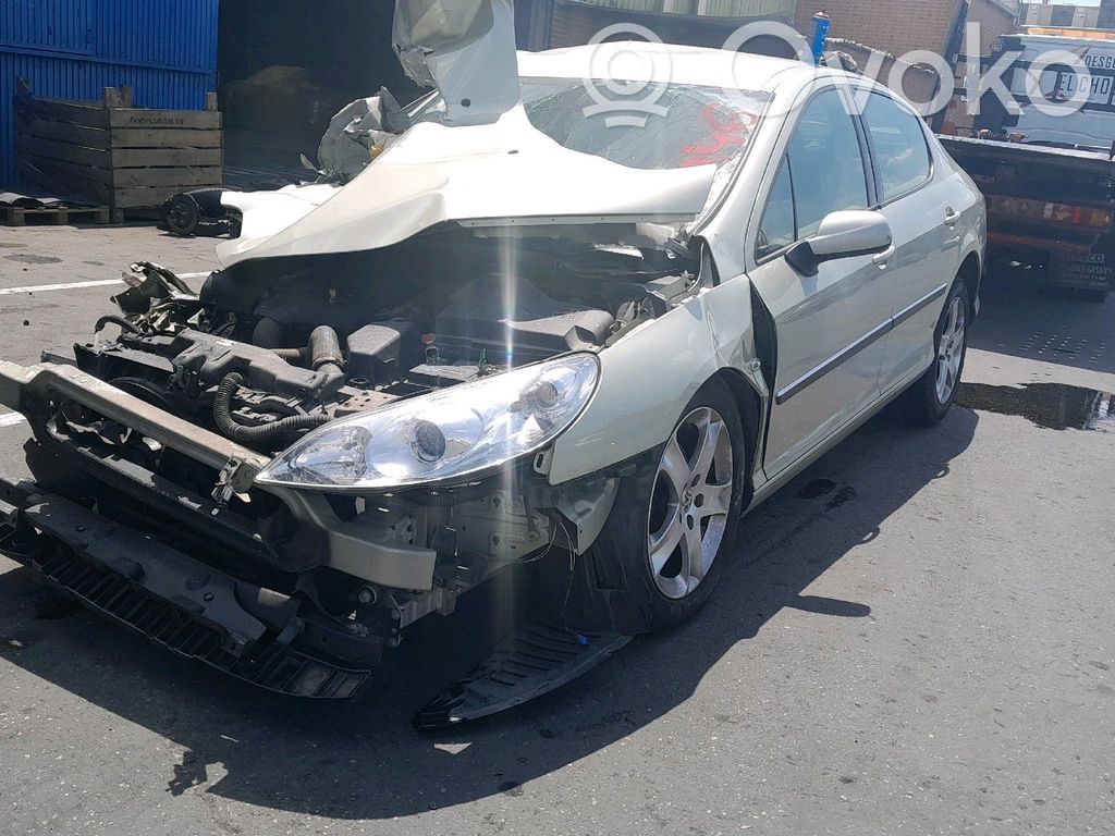 407 407  0139VW