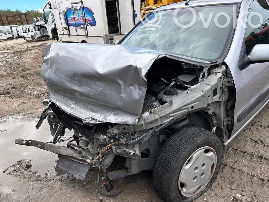 Xsara Xsara, Xsara Picasso