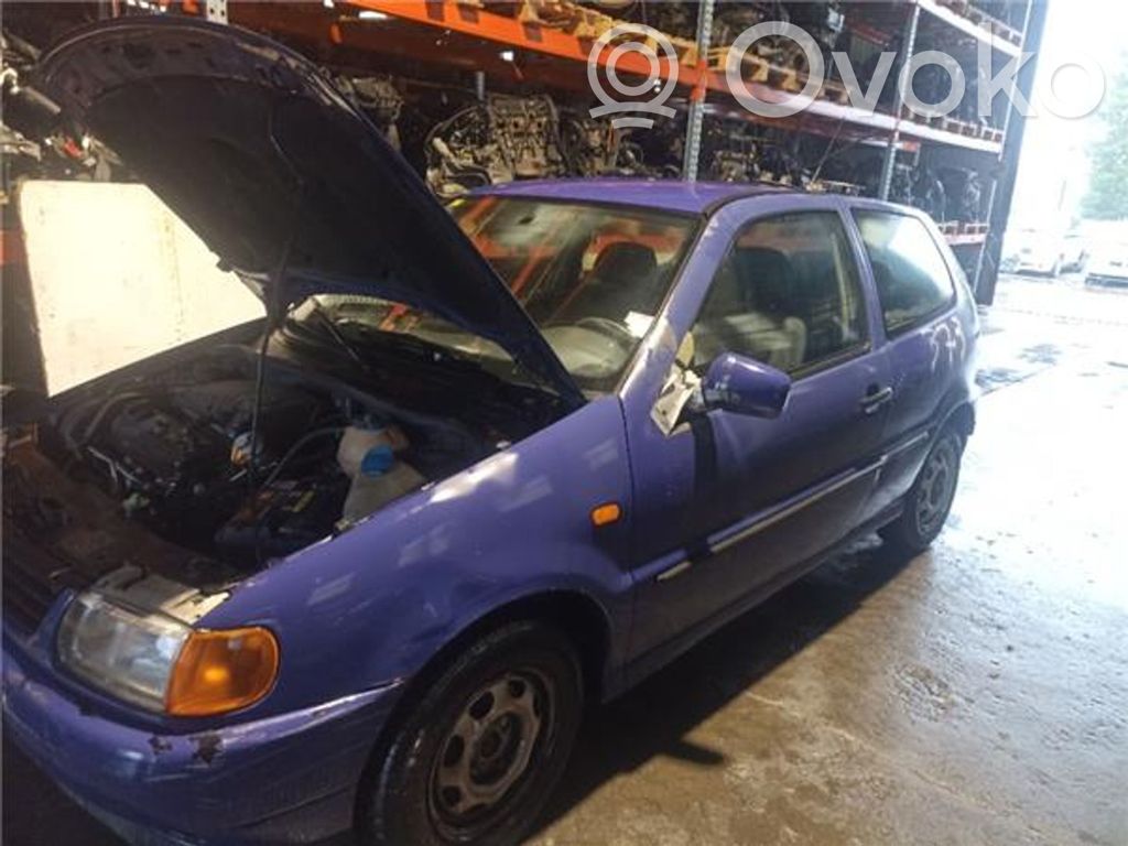 Polo Polo  28903026A