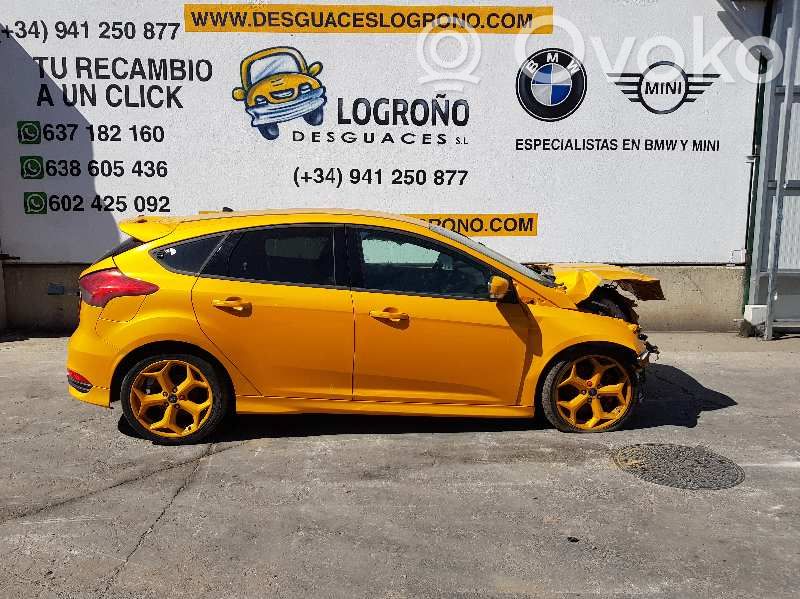 Focus Focus  1930056