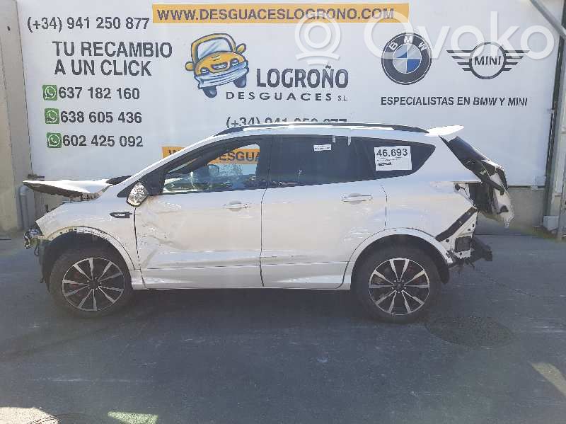 Kuga II Kuga  1863307
