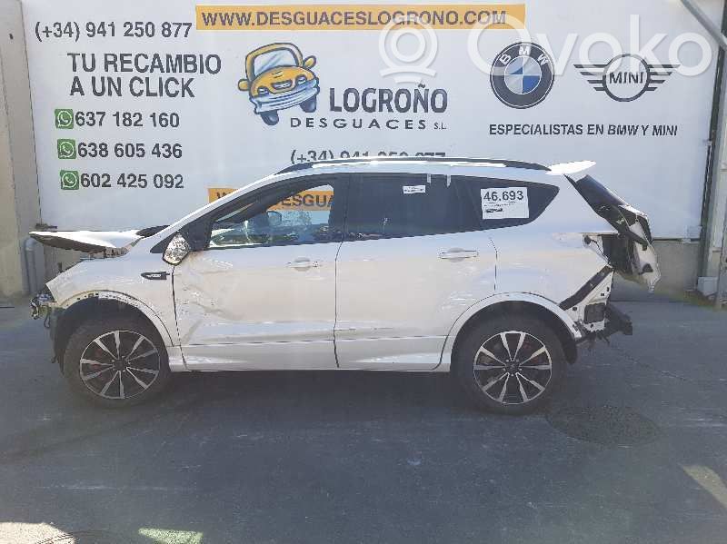Kuga II Kuga  1833786