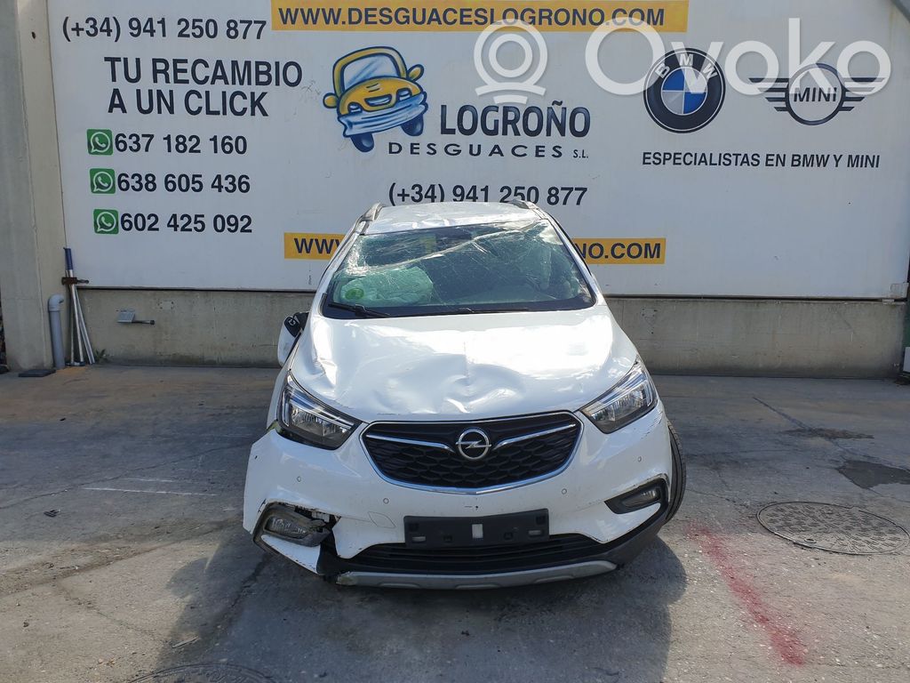 Mokka X Mokka  39081561