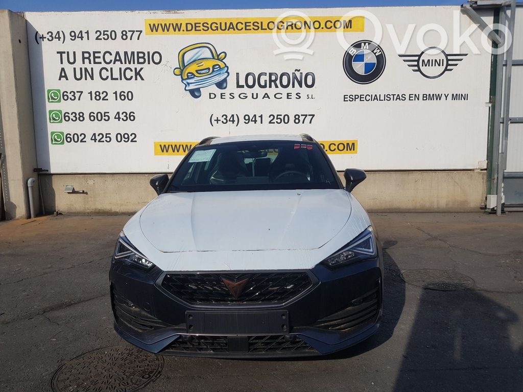Leon Leon  81A955555B