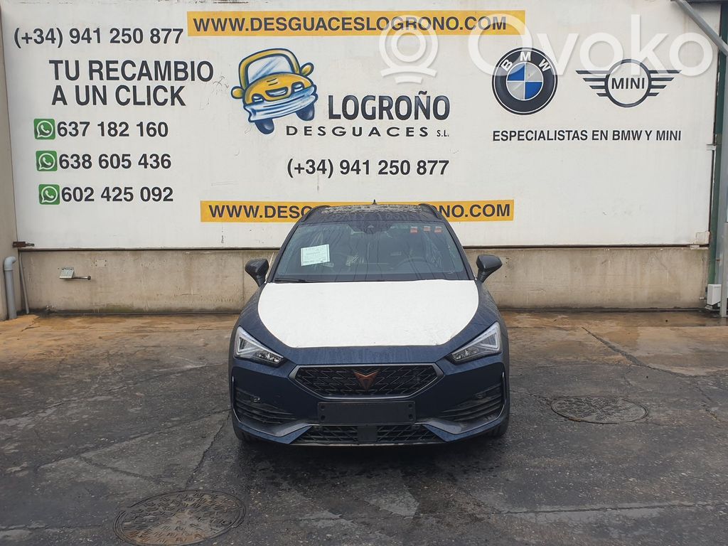 Leon Leon  VEU
