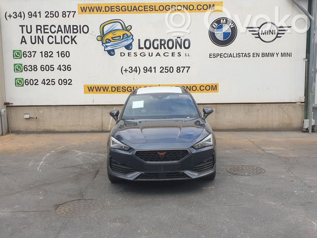 Leon Leon  5FA035335