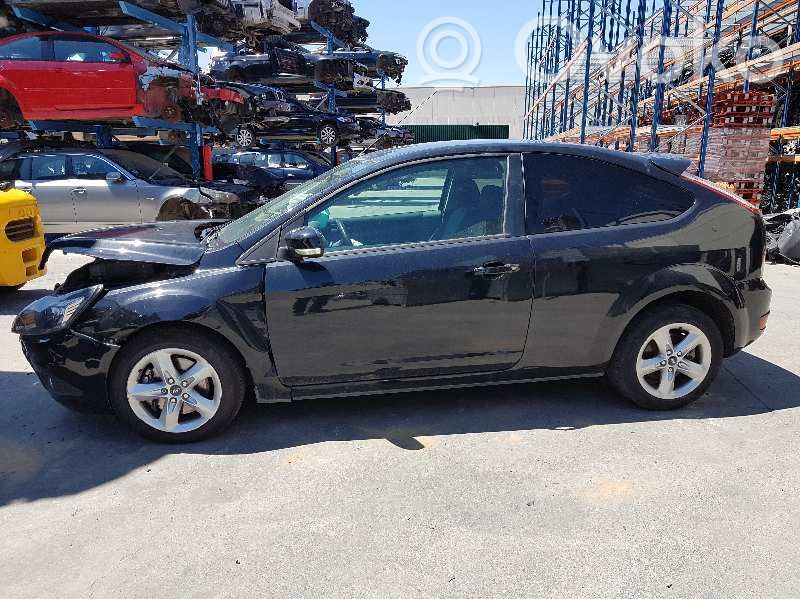 Focus Focus  1570284